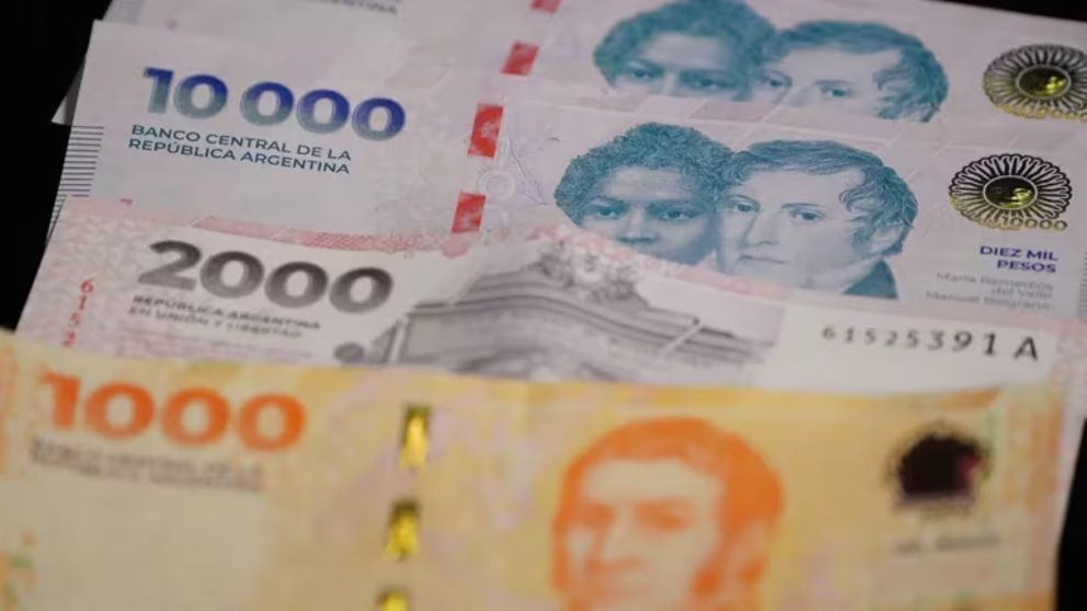 Cuánto cobra AUH Anses en septiembre