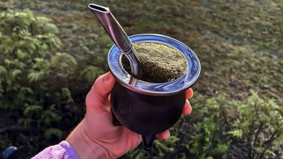 Cambios en la producción y comercialización de yerba mate en Argentina