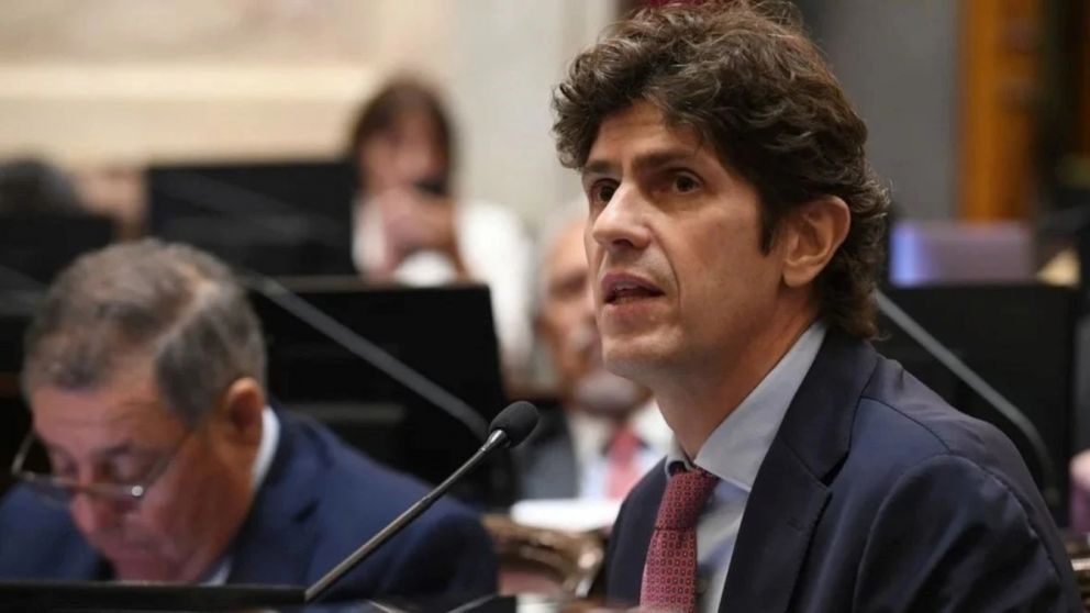 Martín Lousteau, senador de la UCR