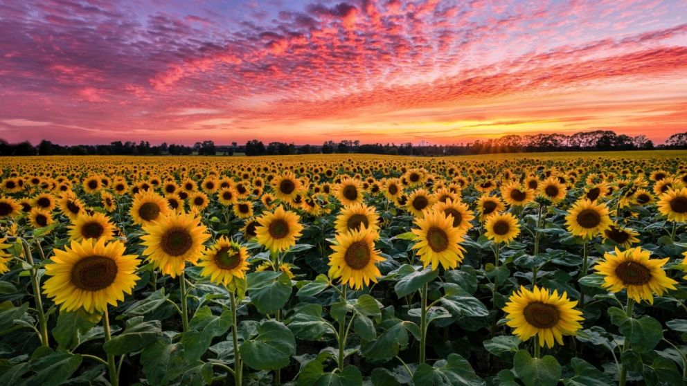 Se despide agosto y cada vez est� m�s cerca la primavera
