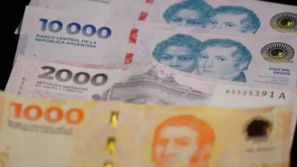 Actualmente, el Banco Nación es el que ofrece la mayor tasa de interés para plazos fijos a 30 días, mientras que el Banco Patagonia presenta la tasa más baja.