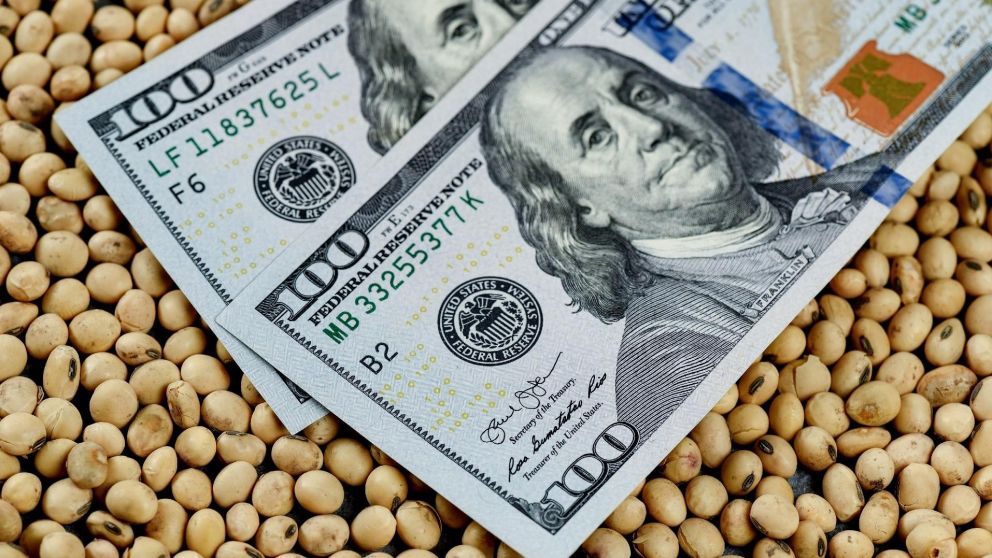 Cosecha: la baja de los precios y la falta de lluvias amenazan las metas del Gobierno con el FMI