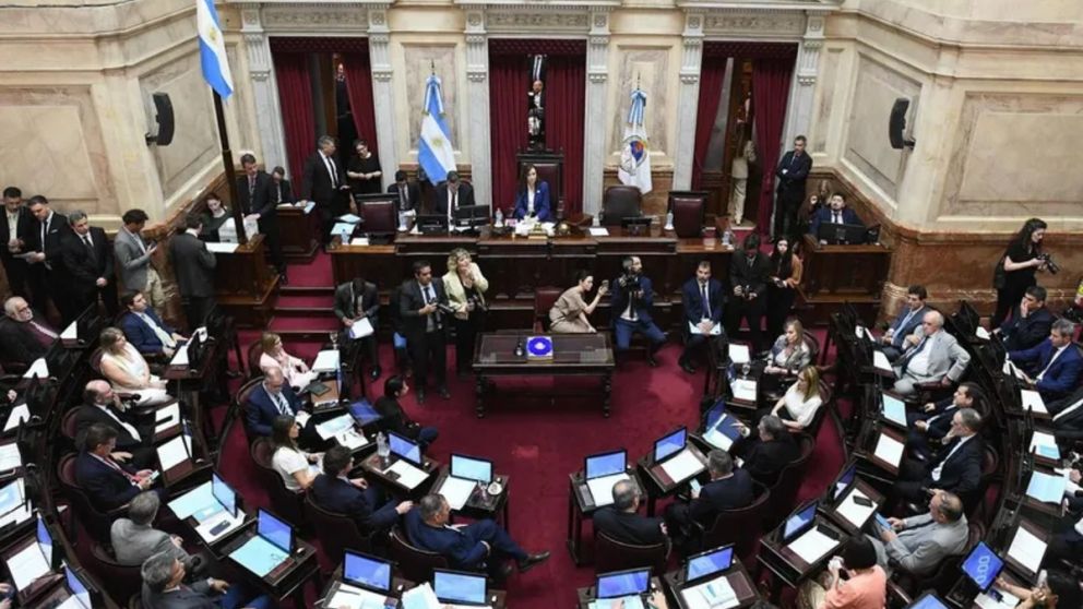 DNU en el Senado