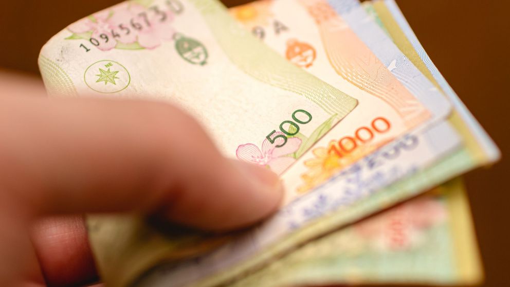 Cu�ndo cobro Anses