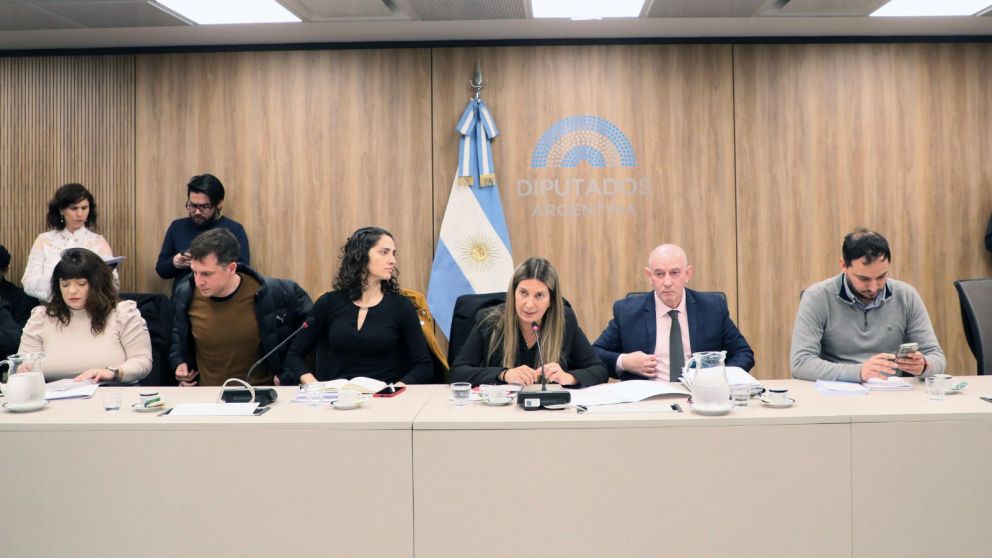 Visita a los represores: una diputada de la LLA pidi� que Menem brinde explicaciones
