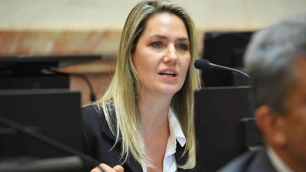 Losada cree que habrá aprobación en el Senado, pero con cambios