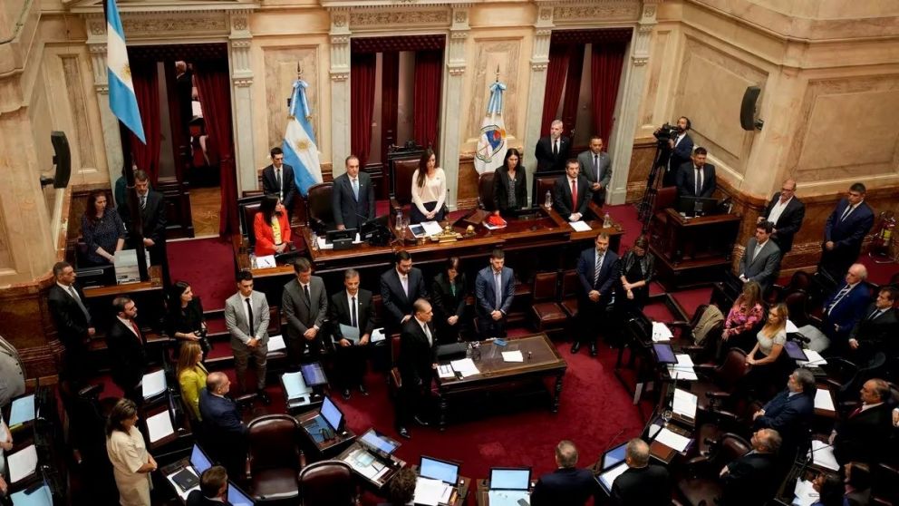 Si el Senado aprueba estos cambios, el proyecto volvería a la Cámara de Diputados para su sanción final.