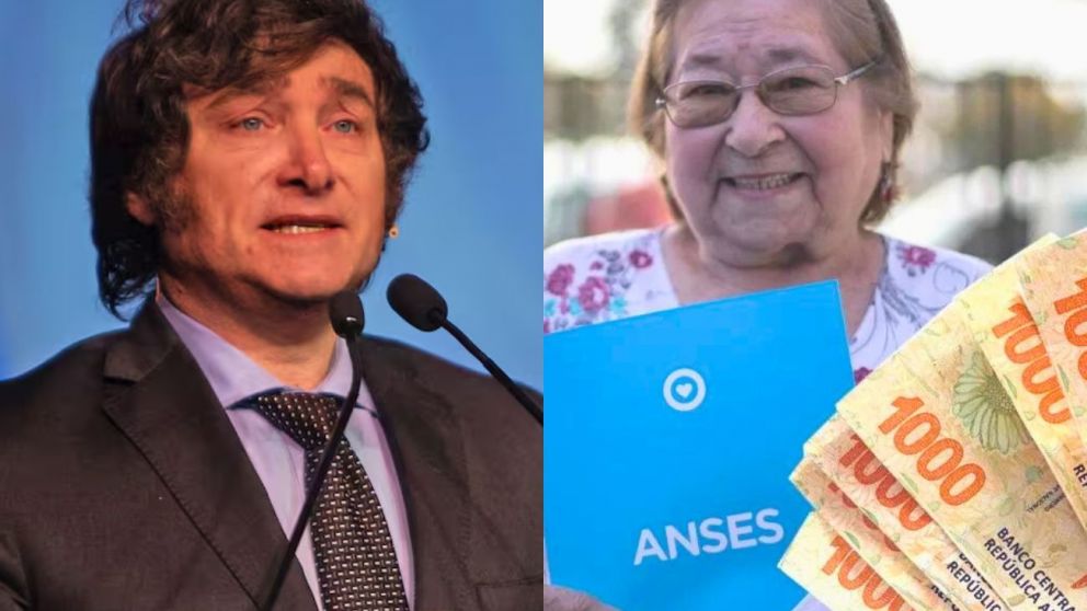 Chequeá si cobrás nuevo bono de ANSES en septiembre