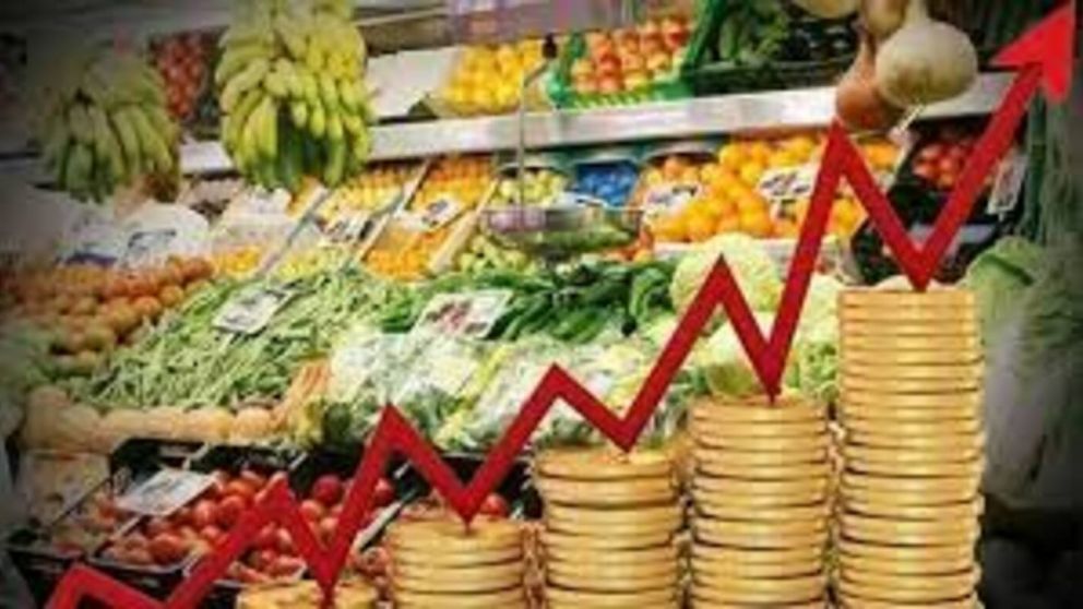 ¿De cuánto fue el AUMENTO de los alimentos durante el gobierno de Javier Milei?