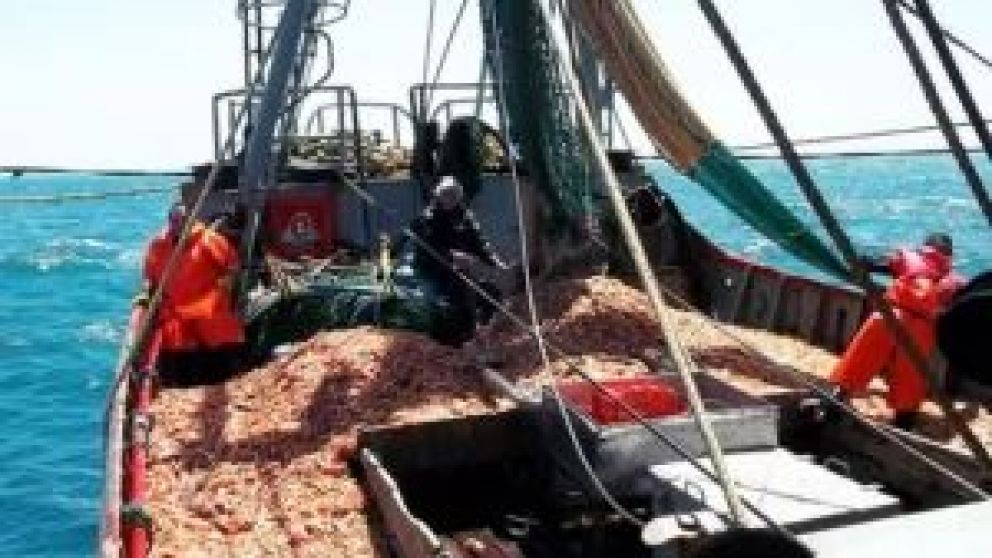  La Asociaci�n Argentina de Capitanes, Pilotos y Patrones de Pesca ha reducido la cuota de afiliaci�n para las empresas pesqueras debido a la dif�cil situaci�n econ�mica del pa�s. El l�der del gremio, Jorge Fr�as, expres� la preocupaci�n por las propuesta