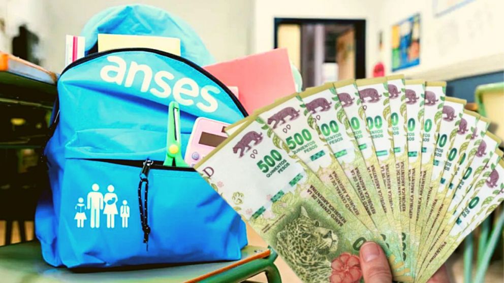 Mirá cómo solicitar la Ayuda Escolar 2024