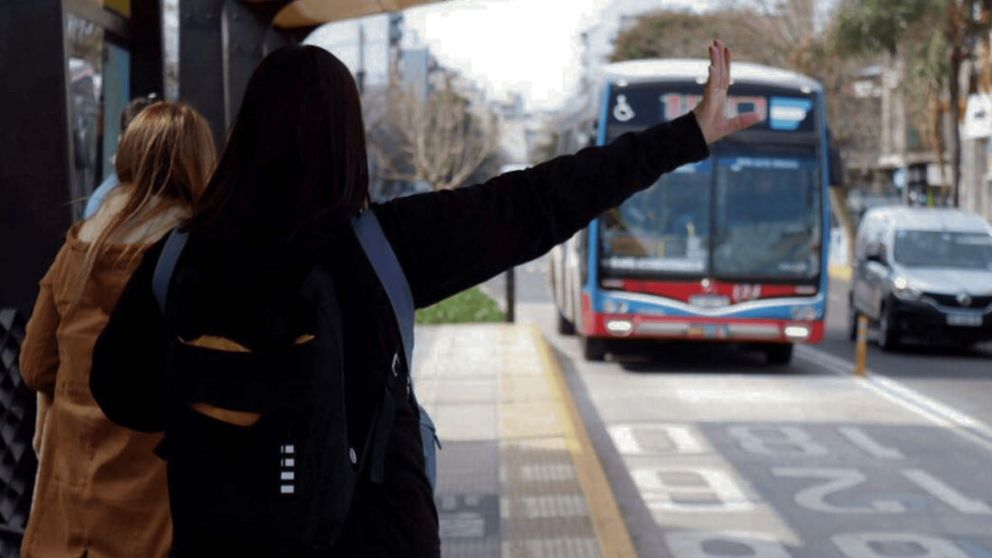 La Ciudad explicó la situación de los colectivos