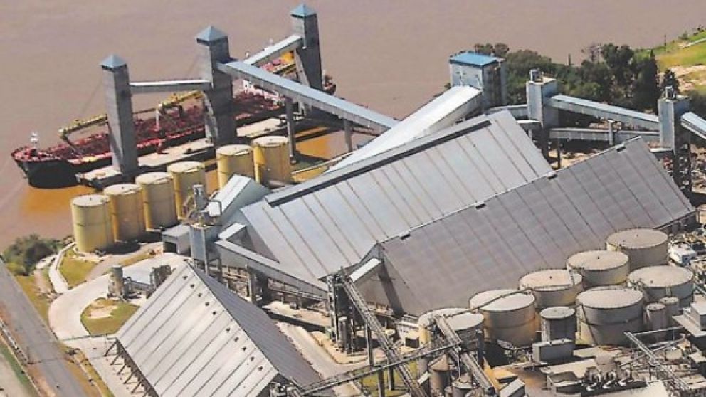 Paro sorpresivo de aceiteros: la industria asegura que “no tiene fundamento”