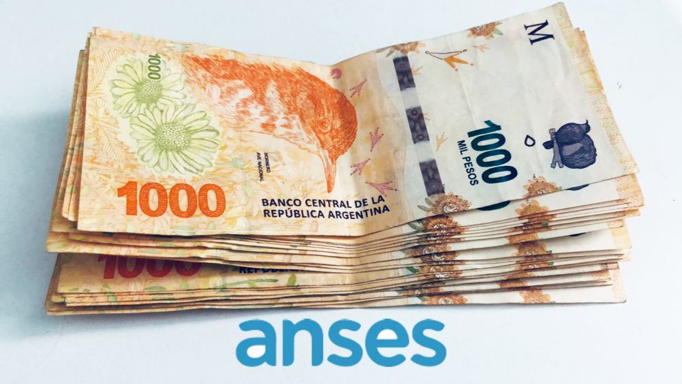 Refuerzo previsional en análisis: cuál sería el corte del bono de febrero