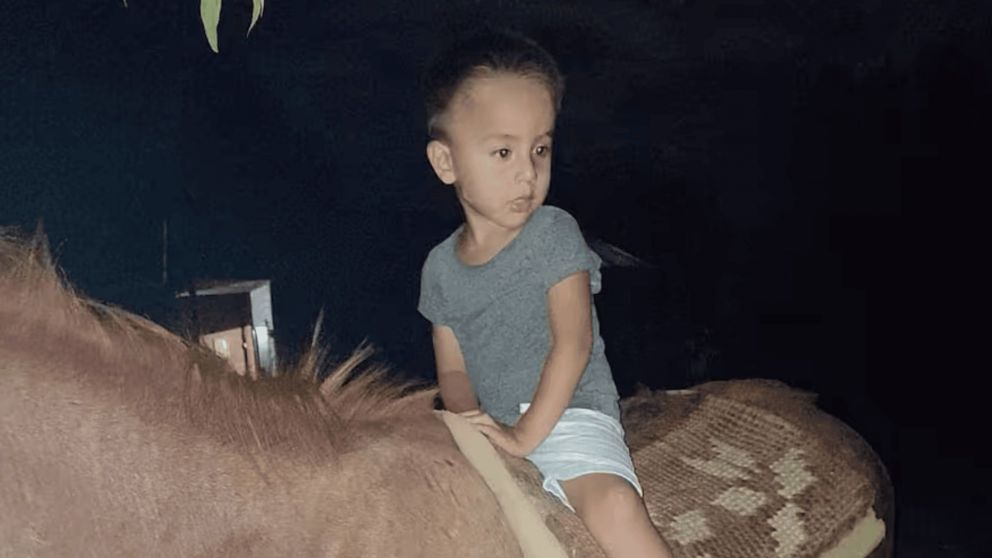 La Justicia ordenó nuevas medidas en la causa por la desaparición de Loan, visto por última vez hace 52 días