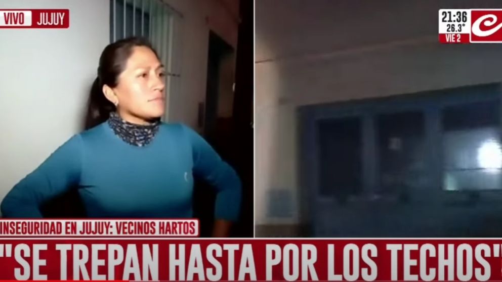 Vecinos denuncian que son víctimas de inseguridad en Jujuy.