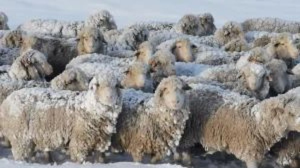 La medida fue publicada en el Boletín Oficial. “Se manejaba sin ningún tipo de transparencia”, sostuvo el vocero presidencial, Manuel Adorni.