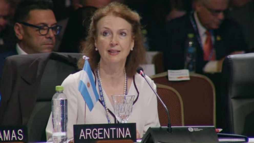 Mondino asistió a la OEA