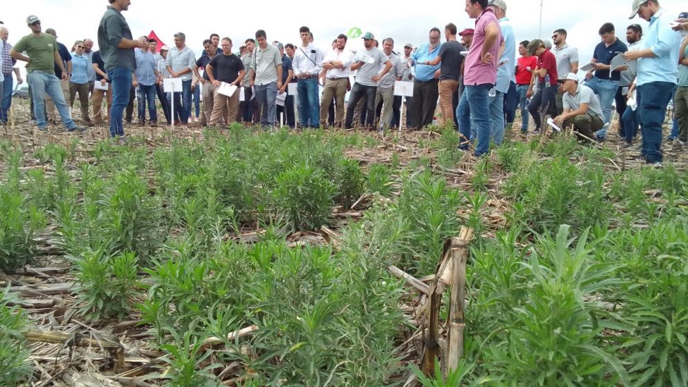 El Congreso Aapresid convocará también a figuras de la música y el deporte