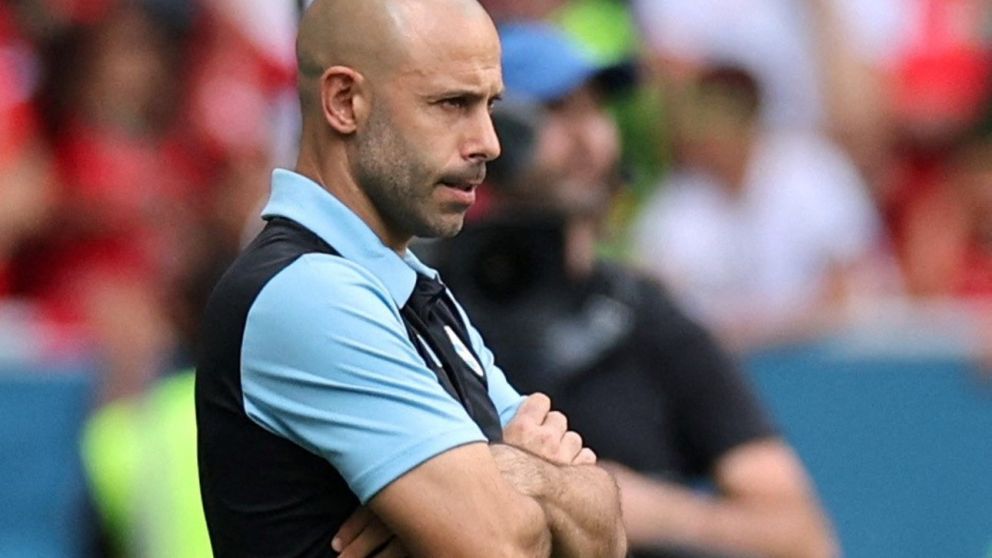"No nos dijeron que se estaba revisando la jugada. El partido se suspendió por la seguridad", dijo Mascherano