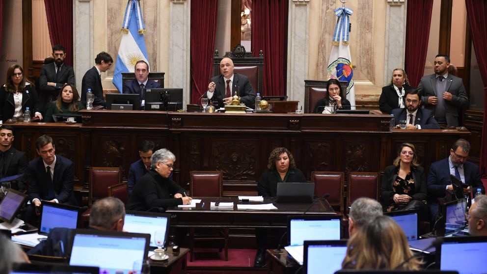 El radicalismo jugó con el Gobierno en el Senado y se postergó el proyecto de jubilaciones
