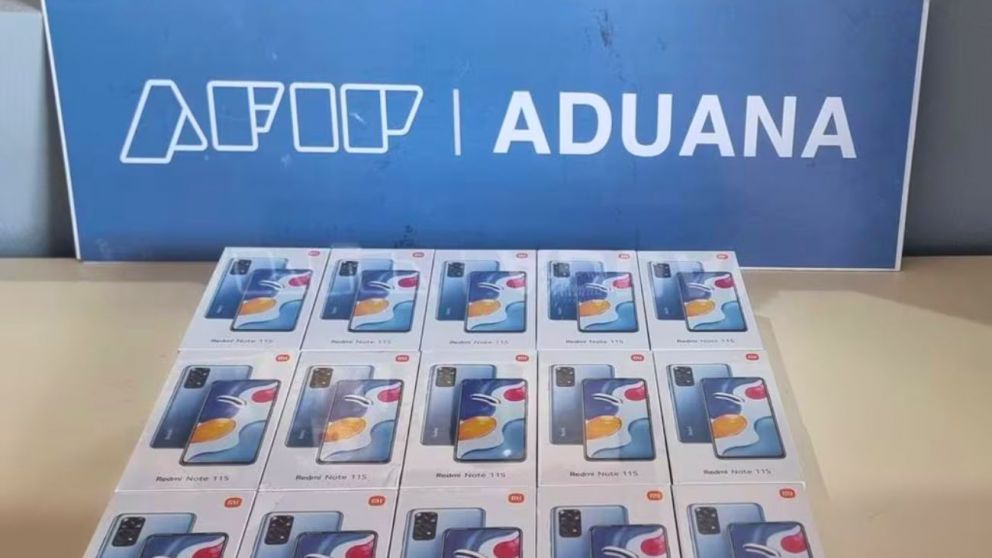 Chequeá cómo acceder a la subasta de la AFIP