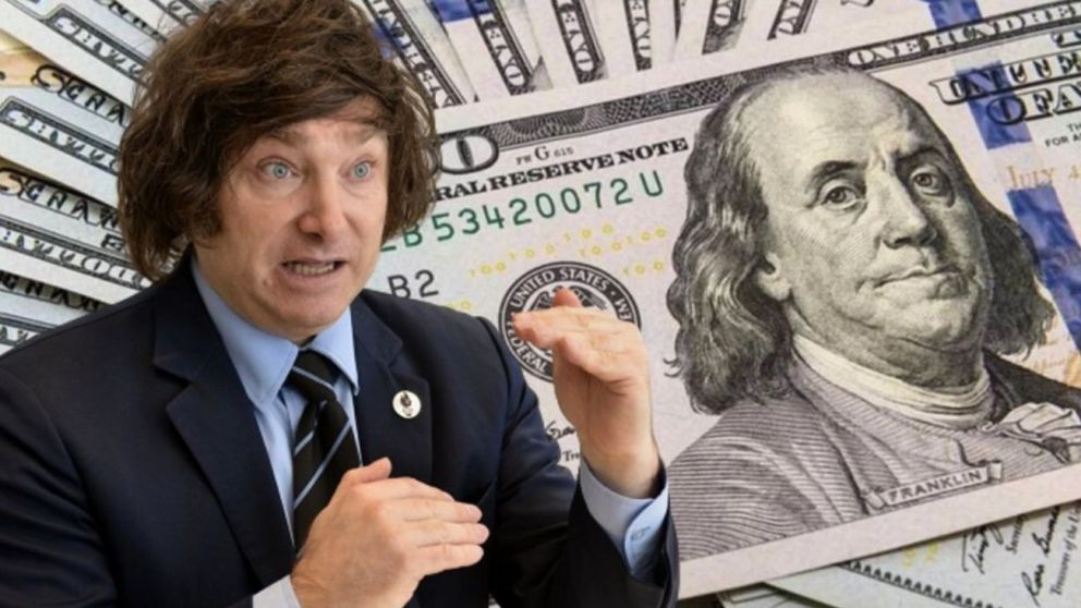 Mirá cuánto aumentó el dólar desde que asumió Milei