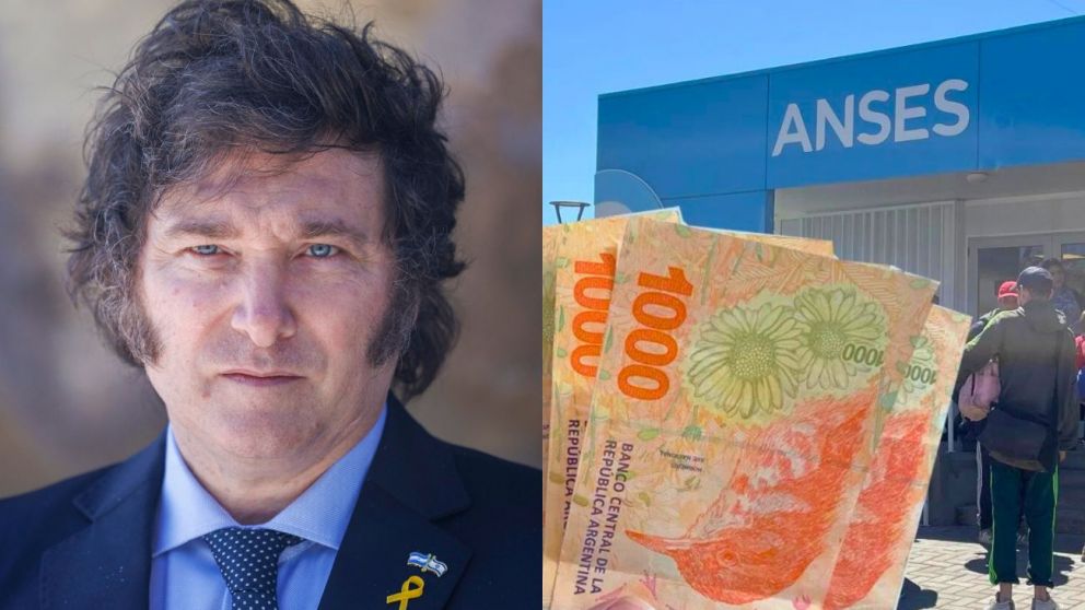 Chequeá cómo pedir los $100.000 que entrega el Gobierno y ANSES