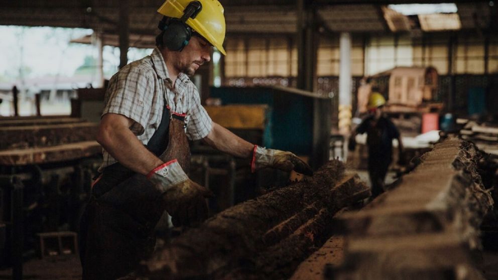 "La demanda cay� much�simo", explicaron a Cr�nica desde la industria maderera.
