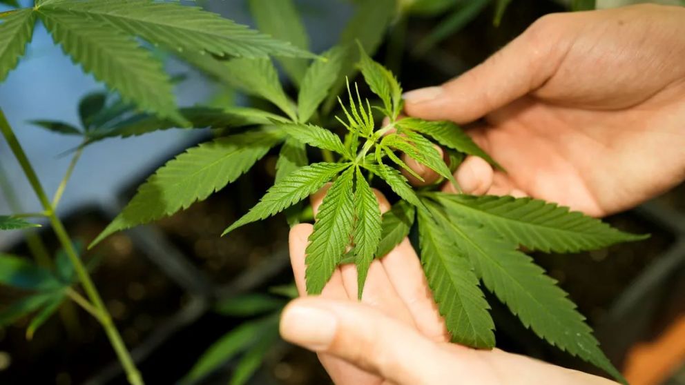 Seguir� estando prohibido consumir en espacios p�blicos