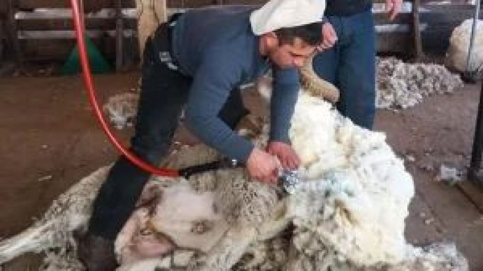 Chubut dispondrá de un espacio propio en la muestra que se realizará del 18 al 28 de julio en La Rural de Buenos Aires. Además, se promocionarán la cultura, los destinos turísticos y las rutas gastronómicas de la región.