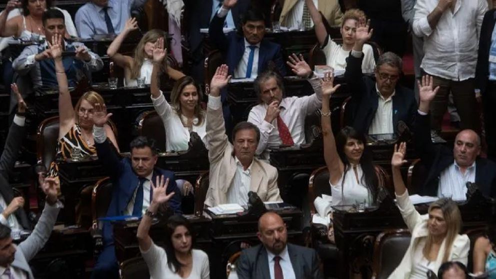 A los diputados no les cierra que se restrinja la aplicación del RIGI a ciertos sectores