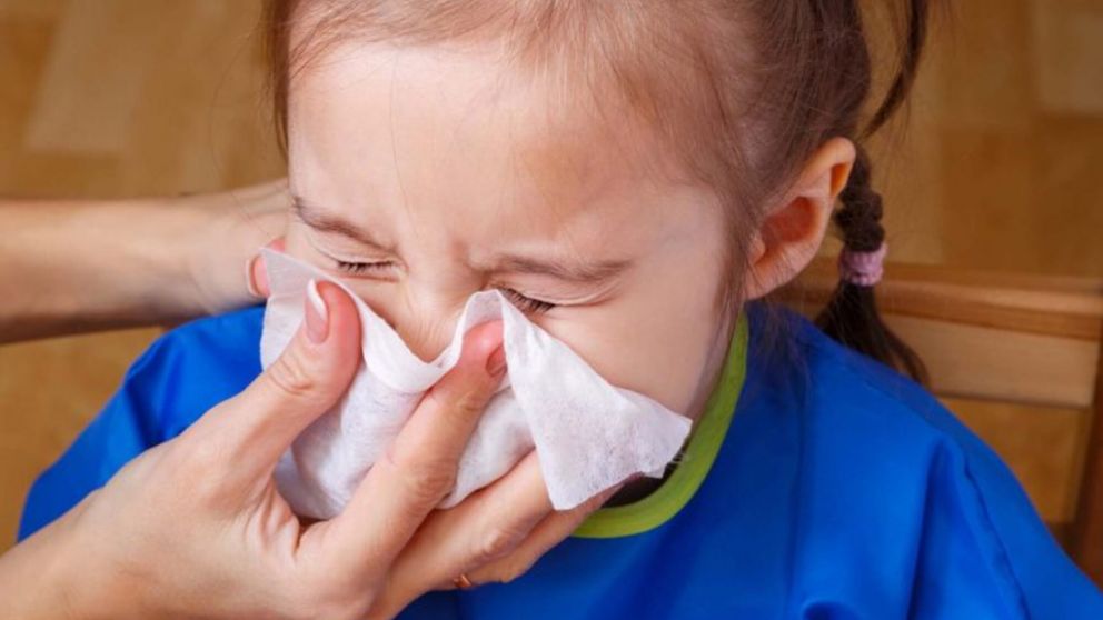 Todo sobre la gripe: c�mo cuidarse en este brote de influenza