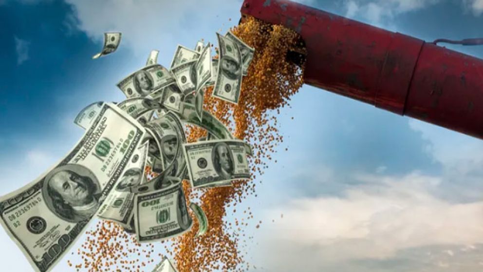 El agro es el  gran traccionador de divisas