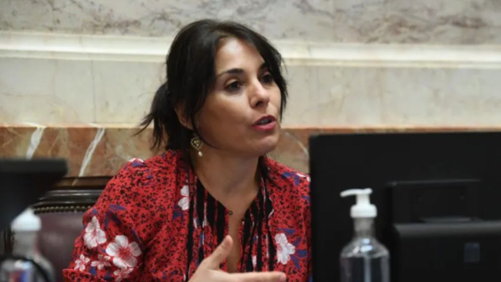 Crexell votó a favor de la Ley Ómnibus, en medio de las críticas de sus pares y la preocupación por la denuncia judicial