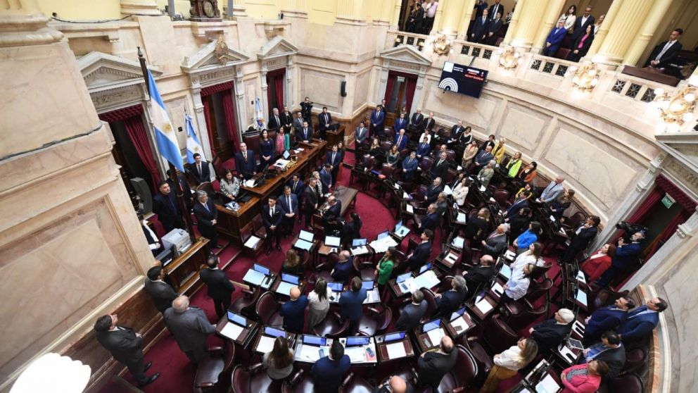 Ley Ómnibus: a días de la sesión, reaparecen las dudas en los senadores de la oposición