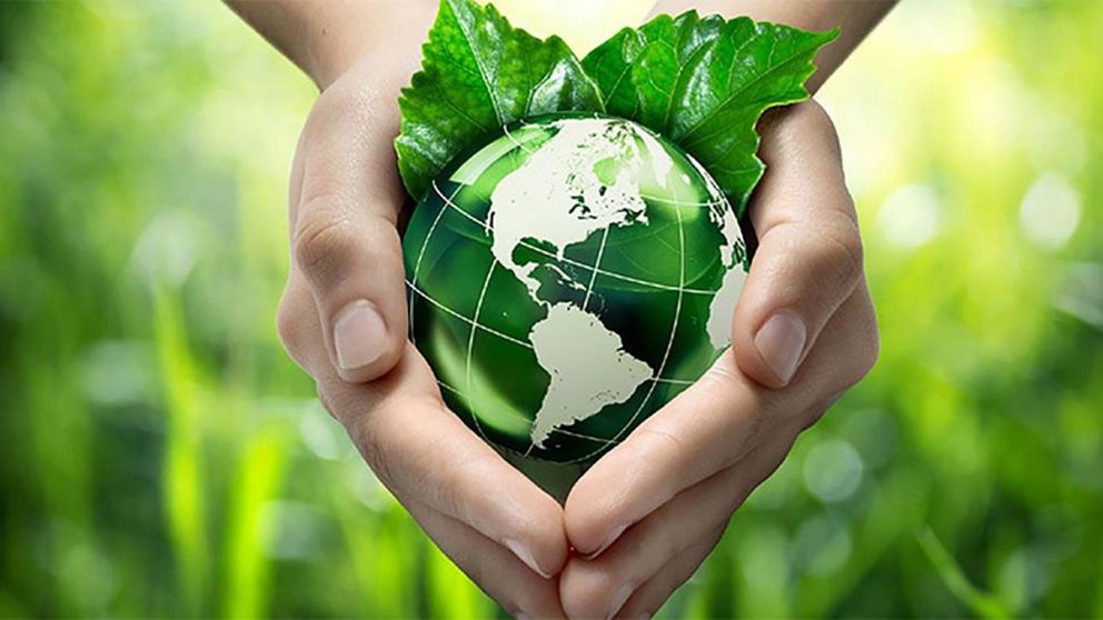 5 de junio: Día del Medio Ambiente, por qué se celebra y cómo aportar en forma individual
