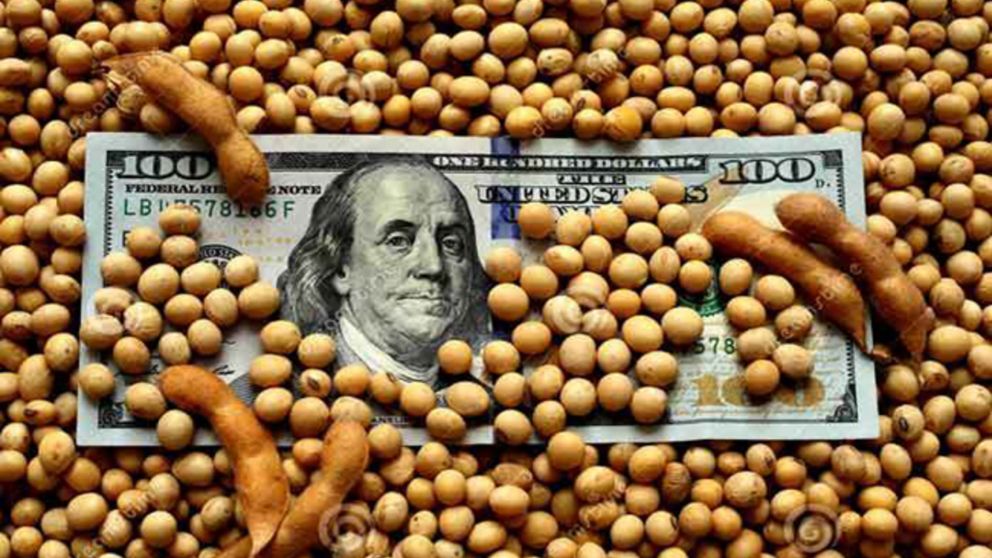 Pese al �xito del d�lar soja, el Banco Central sigue sin levantar el nivel de compras