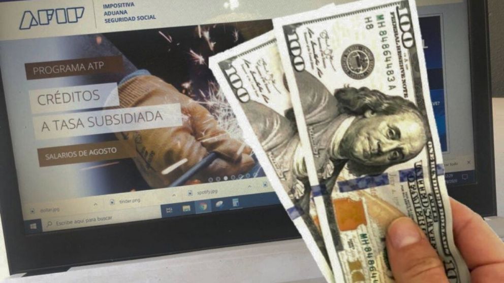 Mirá cómo pedir la devolución de percepciones en AFIP