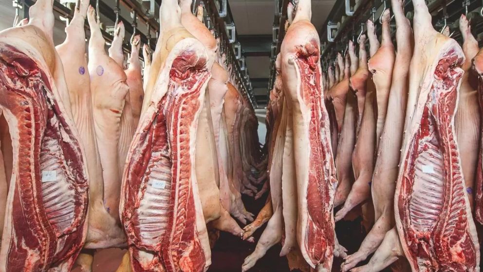 En 2023, el país asiático importó 1,55 millones de toneladas de carne porcina