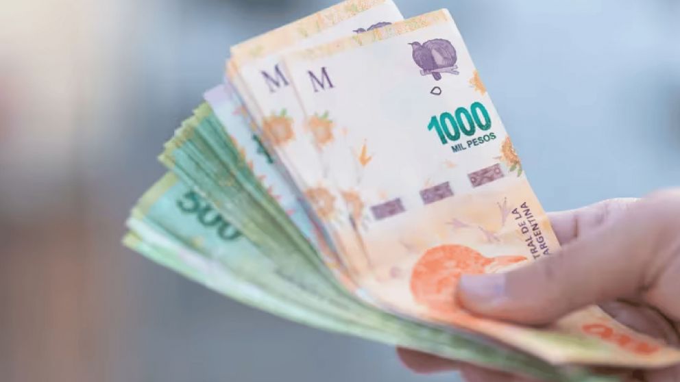 AGUINALDO de ANSES en JUNIO 2024: qui�nes cobran, monto y fechas confirmadas