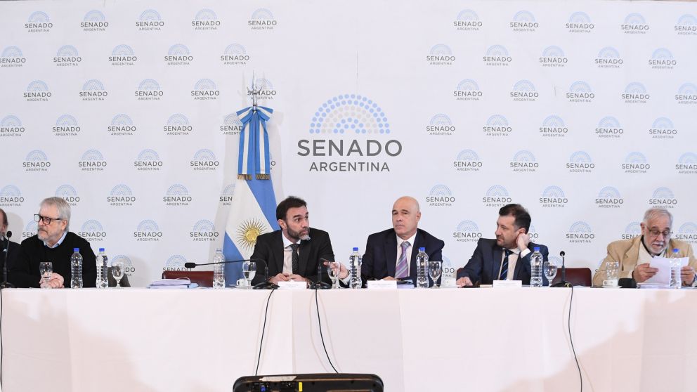 Reunin plenaria de las comisiones de Presupuesto y Hacienda, de Legislacin General y de Asuntos Constitucionales, el 22 de Mayo de 2024, en el saln Azul del Senado de la Nacin, en Buenos Aires; Argentina. Foto: Gino Mantovani / Comunicacin Senado.