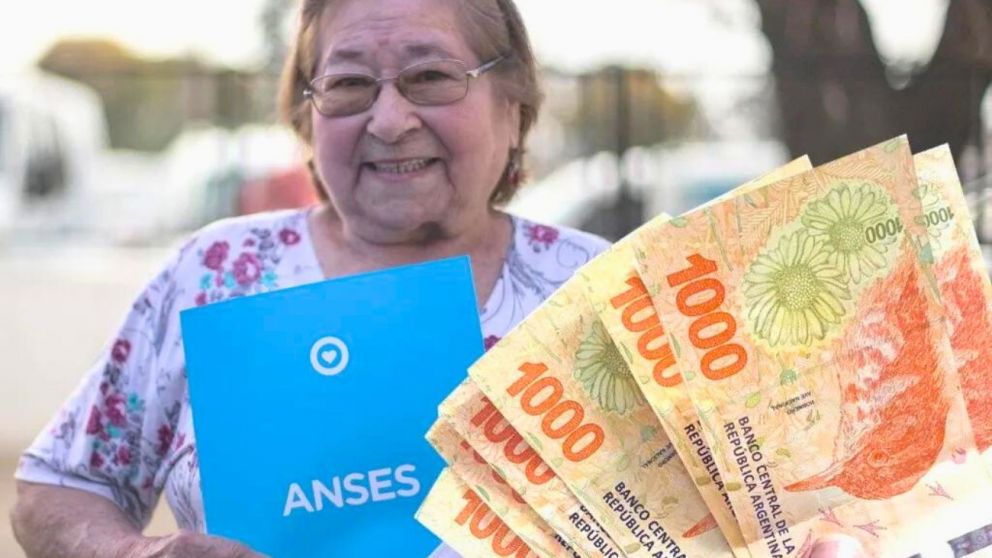 Cheque� si acced�s al nuevo bono de ANSES para jubilados