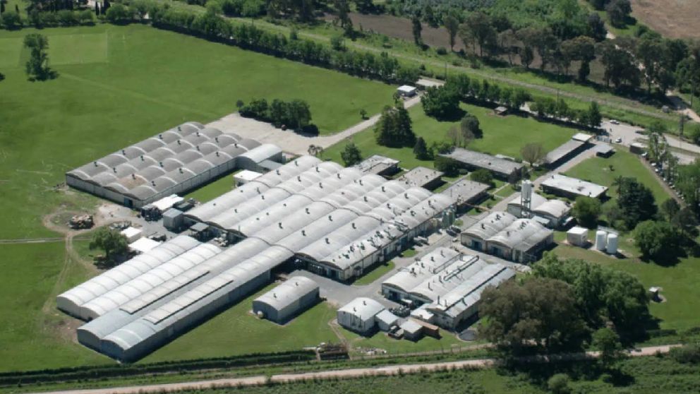 La planta de Akapol quedó paralizada con la suspensión de 150 trabajadores