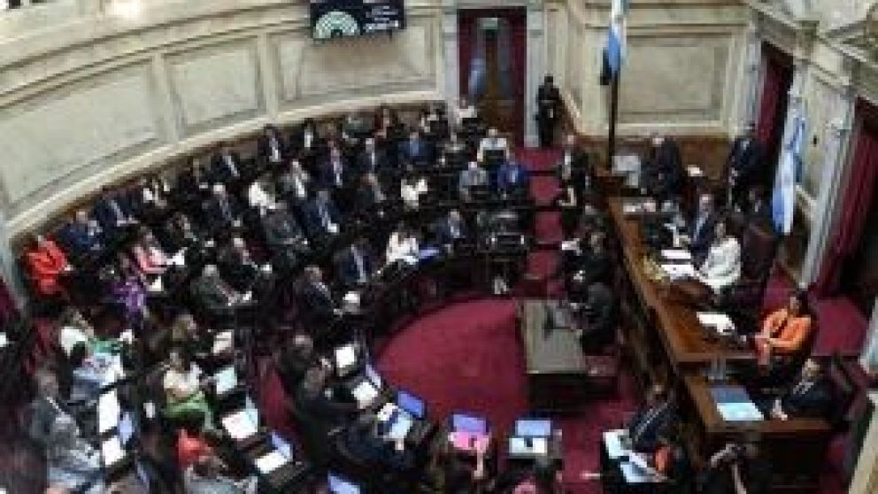 Desde la Bancada Progresista del Parlamento del Mercosur lanzaron un comunicado advirtiendo a los senadores sobre las consecuencias del proyecto impulsado por el Gobierno. "Nos manifestaron la preocupación que les genera que intereses extranjeros puedan