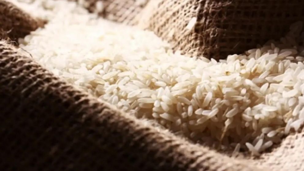 Por inundaciones, Brasil comprará arroz al resto del Mercosur