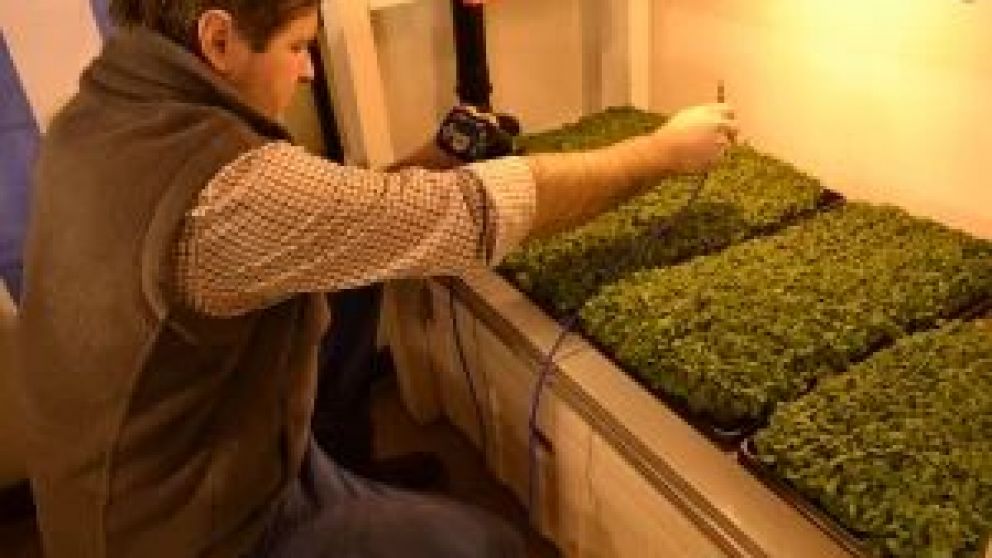 Ya da sus frutos el Módulo Antártico de Producción Hidropónica en la base Belgrano II instalado en la Antártida. Se suma a los que existen en las bases Marambio y Esperanza. Los MAPHi permiten obtener vegetales frescos en condiciones controladas.