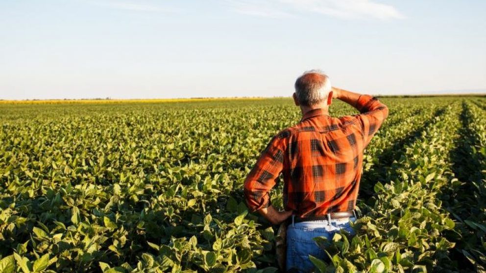 El complejo agroindustrial genera la mayor parte de las divisas