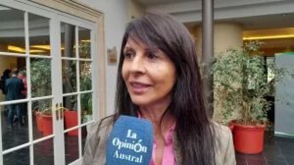 La diputada Lorena Villaverde, de la provincia de Río Negro, presidenta de la Comisión de Energía y Combustibles de la Cámara Baja, adelantó a La Opinión Austral cómo será el trabajo legislativo con la mirada puesta en la Ley Bases.