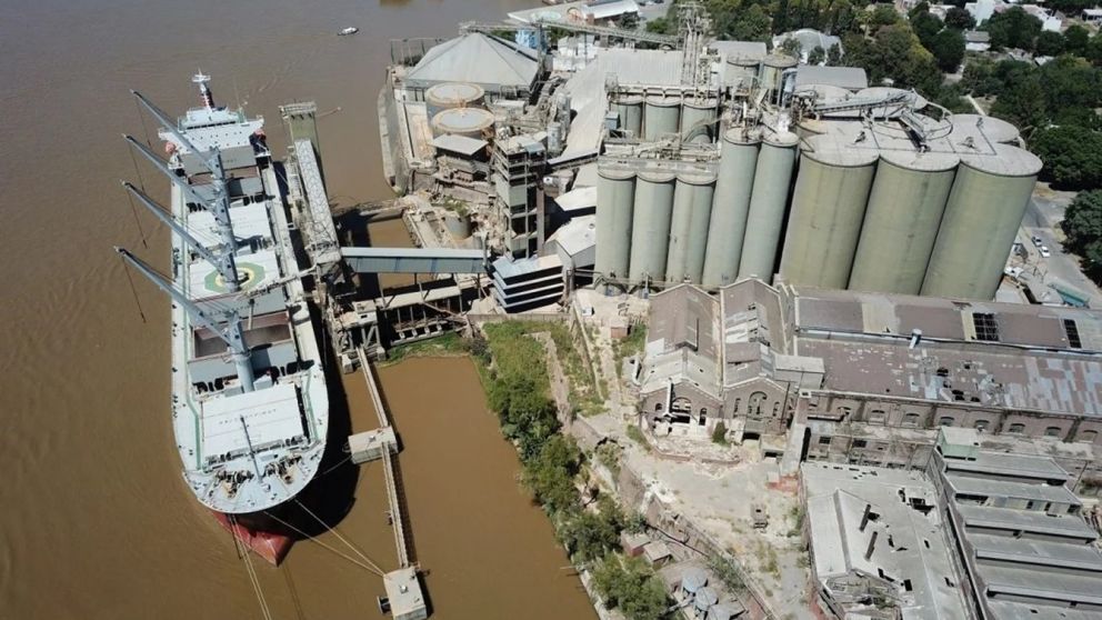 Senasa y aceiteros inician medidas de fuerza con fuerte impacto en las exportaciones